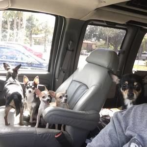 Meet your Posher, Lisa